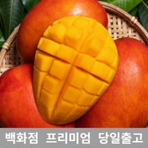 애플망고 3kg 애플망고 쥬스 대용량 과일 열대 망고, 쿠팡 1, 쿠팡 본상품선택