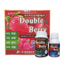 더블베리 텃밭 베란다 집에서 딸기 모종 블루베리 묘목 나무 키우기 재배 키트 액비