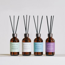 1+1 에이센트 네이처 디퓨저 실내방향제 200ml 2개 세트, 08 포레스트워크*2