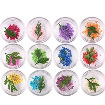 손톱 네일 장식 파츠 아트 스티커 dry flower set 300colors nail art mixed shape with bottle 3d dry flower nail uv, setc-12jars
