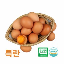 [특란] 알부자집 친환경 무항생제 계란 특란 90구(30구X3판)
