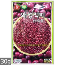 적작두콩 씨앗 10립 - 씨 작두콩씨앗 작두콩씨 작두콩 콩씨앗 콩씨 텃밭 주말농장, 16_왜성적피강낭콩(30g)