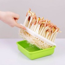핫태하태 집순이 직장인 취미생활 새싹 땅콩 콩나물시루 키우기, 1개, 수경재배기