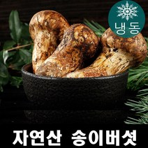 진심좋은 자연산 냉동 송이 버섯 자연 송이버섯, 1box, 1등급 500g
