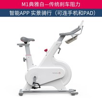스핀바이크 실내 자전거 스피닝 사이클 미니 저소음 헬스, 화이트