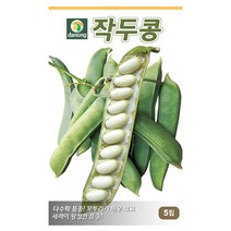 작두콩씨앗 100립, 단품없음