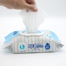 샤인 물에 녹는 비데물티슈 캡형 60매 화장실전용, 1개, 상세페이지 참조