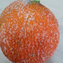 게욱 geuk gac 천국의과일 목별, 500g, 24팩
