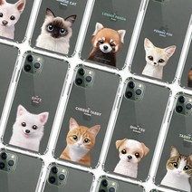 엘앤케이 LG Q61 슈가캣 오리지널 쿠션 젤리케이스 Q630 휴대폰 BAR형 케이스