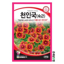 천인국 200립/ 꽃씨 화단 꽃밭 정원 꽃씨앗 천인국씨앗 야생화