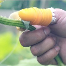손가락골무칼1+1 엄지 장갑 칼달린골무 톱날 농산물 자르기 고추 가지 손톱보호, 라지