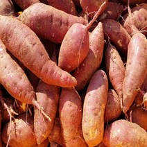 땅끝해남 금호농장 첫사랑 고구마 달콤한 꿀고구마 산지직송, 1박스, 05. 베니하루카 중사이즈 5kg