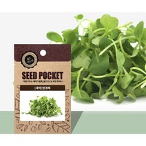 월드가드닝 정원 텃밭 좋은 씨앗 새싹 청경채 15g, 1개
