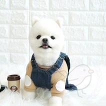 새임 카라 티셔츠 베이지 멍멍이옷 개봄옷 애완견봄옷, XL