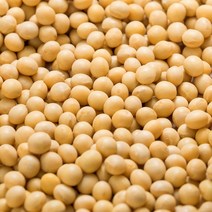 [22년산/국산] 백태 2kg 메주콩 노란콩 대두콩 햇곡 특품 입고