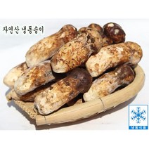 자연산송이버섯 냉동 송이버섯 백두산송이버섯 1kg 명절선물, 1개, 파손품/가정용1kg