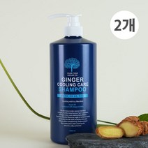 I+I 샤샤 아르간 진저 쿨링 샴푸 1000ml, 선택:샤샤 진저 쿨링샴푸 1000mlX2개