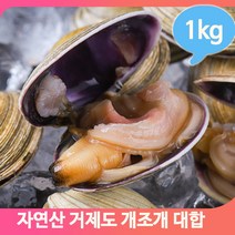 큼직하고 쫄깃한 대합 1kg 국내산 대합탕 조개 자연산