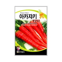 아카쟈키빨강당근 300립 당근씨앗 조생종 저장성, 단품