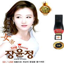 SY019 소장가치 장윤정 USB 앨범 얄미운사랑 약속 외