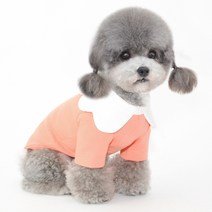 남달리마켓 웨이브카라 코튼 캔디 티셔츠 반려동물 봄 여름 가을 겨울 강아지옷 포인트 실내복 예쁜 원피스 애견 애묘 댕댕이, 피치