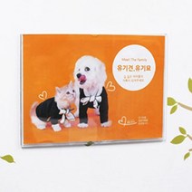 부착형아크릴꽂이 월프레임 A3게시판 사무실 학급 게시판 광고판 안내판 / 가로형 세로형, 가로형 1개