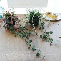 음식점정원 펜션현관 라벤더 행잉화분 학교 신혼집 거실장식 은행, 화이트
