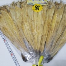 웰빙건어물 강원도 용대리 황태포(왕 중 소) 10마리 황태구이 황태조림, 왕(대략45~46cm내외의크기)10마리