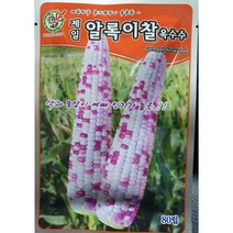 찰옥수수씨앗/ 박사찰옥수수150립/알록이찰옥수수 80립/흑찰옥수수 50립/박사찰옥수수 80립, 박사찰옥수수 80립