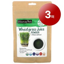 Wilderness Poets 그린 슈퍼푸드 오가닉 밀싹즙 파우더 Wheat Grass Juice Powder 99g 1팩, 3팩