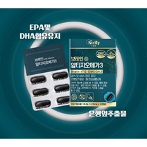 뉴일리 징코알티지오메가3 1박스 기억력개선 혈행기선 EPA DHA 혈중중성지질개선 은행잎추출물