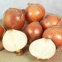 23년 첫출하 단단한 국내산 양파 3kg 5kg 10kg, 양파 10kg 대, 1개