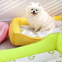 에코펫위드 강아지 고양이 여름 과일 쿨링 방석 쿨매트, 멜론(그린)