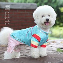 솔빛 색동 왕자한복 -인증