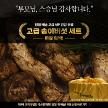 국내산 봉화 자연산 생 송이버섯 1등급 2등급 3등급 등외품, 1kg, 1개