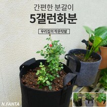 부직포 화분 식물 블루베리 키우기 5갤런 30x25 고구마 감자 블루베리 모종 키우기 베란다 텃밭 흙 담기 화분, 3화분5갤런-브라운