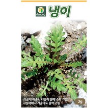 다농 산천 왕까마중 50립 - 씨 씨앗 까마중씨앗 까마중씨 강태 깜두라지 용규 나물씨앗 민속채소 채소씨 채소씨앗, 03_다농_냉이(3g)