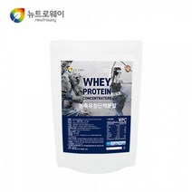농축유청단백분말 미국산 WPC 500g 80프로 단백질 함유 보충제 영양제 프로틴