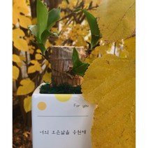 그대를 위한 메세지 For You(포 유), 2.천냥금, 3.너의 모든날을 응원해