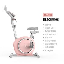 yesoul 야수 집 회전 실내 사이클링 운동 자전거 eb10, eb10 - 핑크 레몬