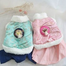 페시얌 강아지 한복 배자 강아지옷 XS-2XL, 민트