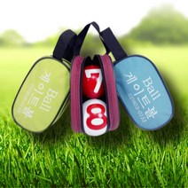 게이트볼 연습구 2개 + 휴대용 가방 포함 게이트 공 케이스