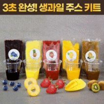 과일청 생과일 주스 만들기 DIY 키트 재료 5종 (택1) 카페재료 라떼 에이드, 블루베리 아이스키트 200g