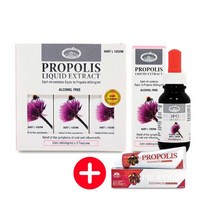 호주 네이쳐스탑 프로폴리스 리퀴드 원액 60% 무알콜 25ml x 3병 1세트