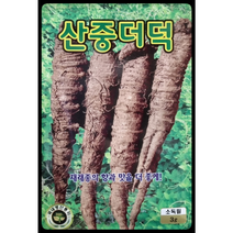 산중더덕씨앗3g 더덕씨앗 재래종의 향과 맛을 더 좋게 KS종묘