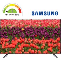 삼성전자 55인치 사이니지TV 비지니스 TV 모니터 유튜브 UHD 4K LED 1등급 BE55A-H 1등급 [무료설치][무료폐가전수거], [125cm/50인치], 아니요, [벽걸이형(무료설치)]