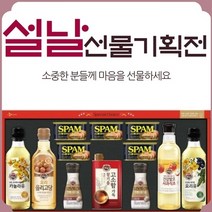 [스팸선물세트] SPAM 햄 고급유 선물세트 명절 추석 회사 선물 세트, (특가)CJ특별한선택 특선 스페셜G호 x 2세트, 2세트