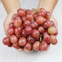 달콤한 크림슨포도 껍질째 먹는 씨없는 포도, 1kg, 1개