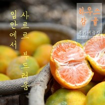 [제이샘 10월 4일 출고] 하우스감귤, 하우스감귤 2kg, 1개