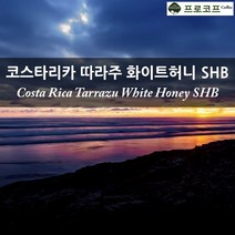 커피생두 - 2022년 뉴크롭 코스타리카 따라주 화이트허니 SHB, 250g